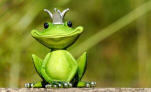 frog, frog prince, prince-2240764.jpg